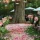 Stunning Wedding Tree Décor Ideas