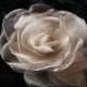 Bridal Hair Piece, Wedding Hair Piece, Champagne Organza Hair Clip Flower  Rose Bridal Fascinator