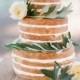Naked Cake With Olive Leaves