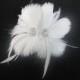 Womens Wedding Party Ivory Feather Rhinestone Jewel Hair Clip W/ Birdcage Veil Fascinator, Bridal Head Piece
