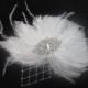 Womens Wedding Party Ivory Feather Rhinestone Jewel Netting Hair Clip, Bridal Head Piece