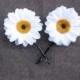 Daisy Bobby Pins - White Daisy Hair Flowers. Daisy Hair Pins, Daisy Pins, Bridesmaids Gifts, Daisy accessories, EDC, Daisy Chain, Daisies,