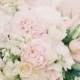 Bridal Pink Flower