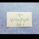 Calligraphy Service Place Cards Escort Cards - Handwritten for Modern Weddings 