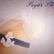 Anchor Garter - Nautical Wedding Garter - Navy Lace with White Anchor Applique - Marine, Beach, Nautical Wedding