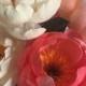 Crepe Paper Flower - Coral Charm Peony - Handmade