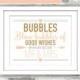 INSTANT DOWNLOAD - Emilia Collection - Printable Wedding Bubbles Sign - Gold Glitter Blush Peach-Pink - Good Wishes 8x10 Digital File Mr Mrs