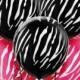 Latex Black & Pink Zebra Print Balloons- Party City