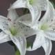 Natural Real Touch White Tiger Lily Long Stem for Wedding Bridal Bouquets, Centerpieces, Decorative Flowers