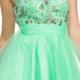 Ruched Short Length Tulle Crystals Scoop Pink V-back Sleeveless Green