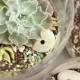 Learn How To Make Terrariums For Your Wedding!