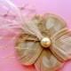 JUNE Ivory and Gold Peacock Feather Hair Clip, Fascinator
