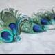 Peacock Feather Hair Accessories, Turquoise Bridal Hair Clip, Bridesmaid Gift Set, Bridesmaid Hair, Something Blue - 106HP Set