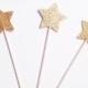 Gold Star Cupcake Toppers - Cake Toppers - 24