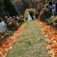 Silk Screened Fall Autumn Maple Leaves Decor - Orange Mix Or Burgundy Mix - Pkg 100