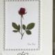 Wedding wishes, marriage card, Happy Wedding Day, marriage wishes, pressed flower greeting card, rose framed with pearls