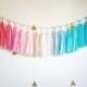Gender Reveal Tassel Garland - Pink and Blue Baby Shower Decorations, Gender Reveal Party Decor, Twin Birthday Garland