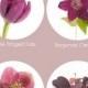 Color Of The Year Marsala Flower Inspiration - Flower Muse Blog