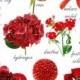 The Latest Color Trend For Wedding Flowers…..RED
