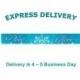 Express Delivery International, Rush Order, Fast Shipping, Express shipping,