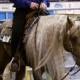 Horse-Grooming Tips And Ideas