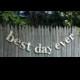 Best Day Ever Banner- Gold Sparkle