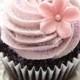 Bella Cupcakes: For A Good Cause!