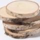 10 birch slices  2"- 3" , wooden slices, rustic wedding decoration, wood coasters,  wood discs for home decors