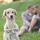 15 Dogs At Weddings That Will Make You Feel All The Emotions
