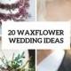 20 Cute Ideas To Incorporate Waxflowers Into Your Wedding - Weddingomania