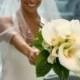 Elbow Length  Single Layer Wedding Bridal Veil