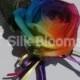 Vibrant Multi-Colour Rainbow Rose Wedding Buttonhole W/ Crystals