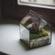 Glass Terrarium Small House, Stained glass decoration, Home decor, Planter for indoor gardening, Succulent