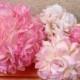Pomanders Flower Balls - Pink rose balls - Pomanders Roses - Wedding - Home Decor - Birthdays