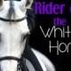 The Rider On The White Horse ~ Revelation 6