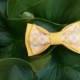 Bow tie Embroidered yellow morning grey bowtie Lilac gray tie Wedding outfit Jaune matin gris noeud papillon gelb Morgen grau fliege Gieler