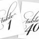 Printable Table Numbers Instant Download 1-40 - Elegant Script Table Numbers - 5x7 Table Numbers Template 