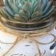White Vintage Mason Jar W/ Succulent Kit // Shabby Chic // Rustic // Handpainted & Distressed // 2.5" Premium Succulents By Succulent Charm