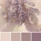 Colour Palettes For Colouring Inspiration