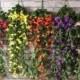 NEW Wall lilac vine with silk 7 colors 1500 heads artificial flower living room shop party decoration NO VASE