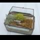 Glass Treasure Box - Rectangle Ring Box