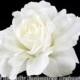 Bridal Hair Flower, Wedding Hair Accessory, Flower Hair Clip - Pale Ivory Mckenzie Rose Flower Clip