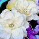 SILK HAIR FLOWERS - Pair of Ivory Hawaiian Delphiniums, Beach Wedding Hair Pins, Fascinator, Headpiece, Crystal Center, Silk flower clip