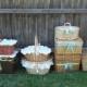 Customizable Concept - Personalized/ Custom Picnic Baskets and Bubble Baskets for Weddings/Baby Showers/ Events