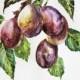 ORIGINAL Watercolor Painting Plums watercolor plum Art decor for kitchen plums on the tree Home Decor plums on the branch OOAK