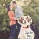 29 Perfectly Adorable Ways To Include Your Pet In Your Wedding