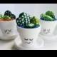 Mini Hand Painted Cactus Pots - "Cute Cacti"