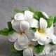 Free Shipping Artificial White Yellow Plumeria/frangipani small bosy stem