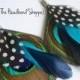 Peacock Earrings with Guinea Turquoise and Navy Accents - ATLANTIS Peacock Feather Earrings