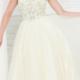 Zipper Crystals Scoop Champagne Tulle Floor Length Ball Gown